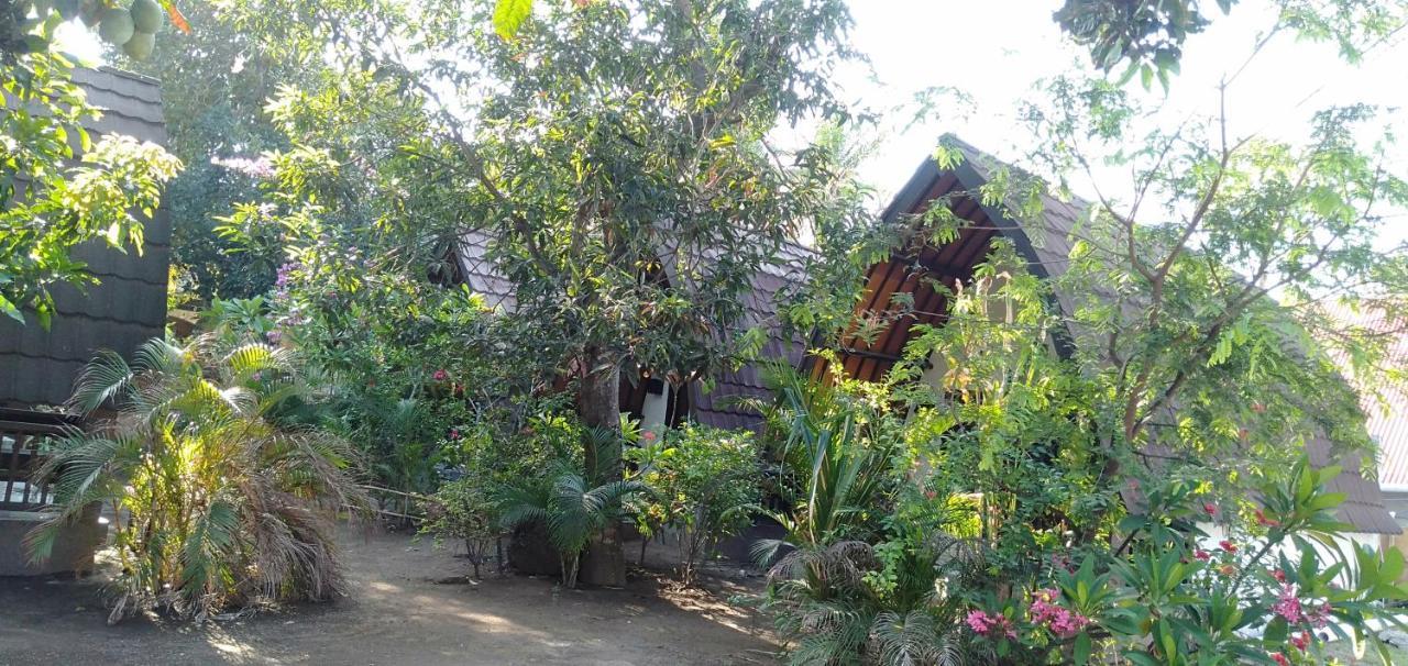 Hello Lumbung Homestay Gili Air Esterno foto
